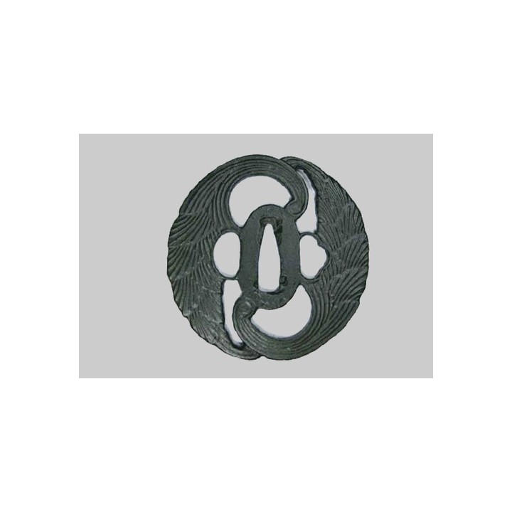 T036 - Myoga 茗荷