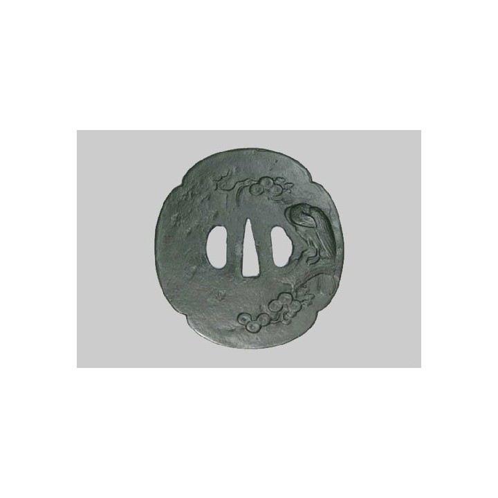 T045 - Washi 鷲