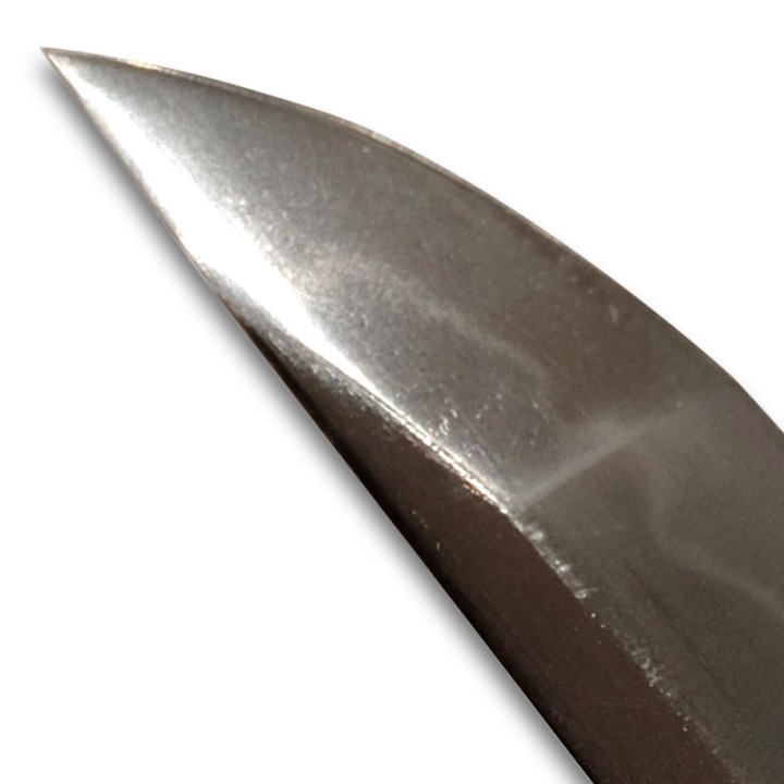 Wakizashi  - Fujiwara Saneyuki  藤原實行